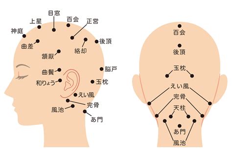 頭部氣結多